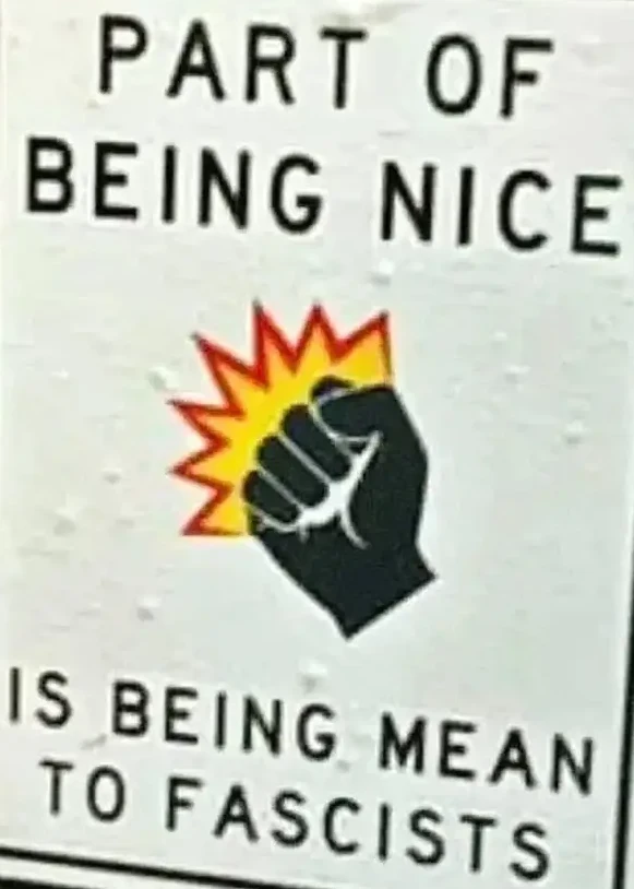 part of being nice is 💥🤛 is being mean to fascists